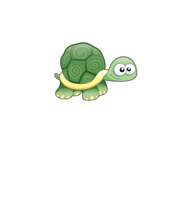 Turtle model gri pe tricou