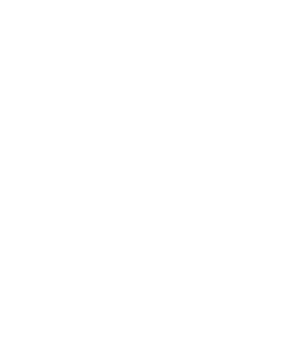 All men are created equal but only the best are born in february model negru pe tricou