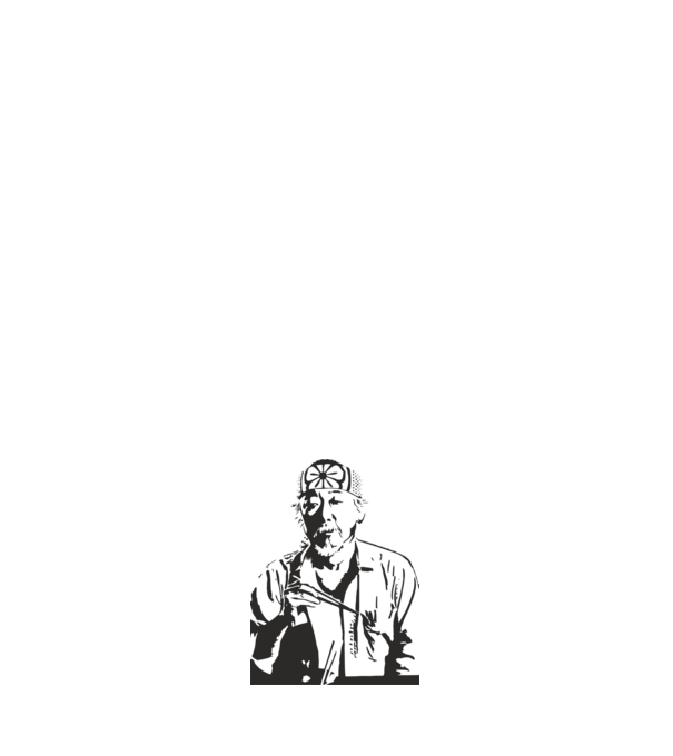 Miyagi cobra kai model negru pe tricou