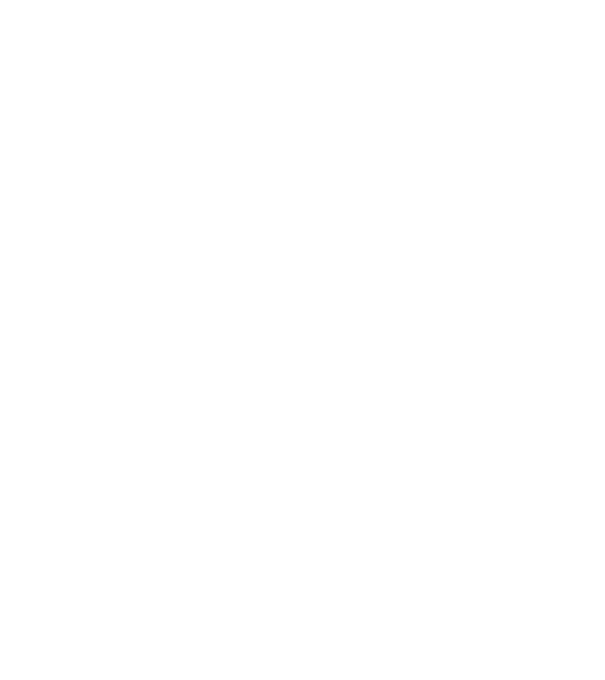 All men are created equal but only the best are born in june model negru pe tricou