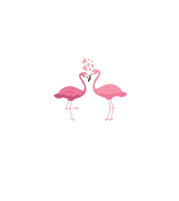 FLAMINGO ÎNDRĂGOSTIȚI model gri pe tricou