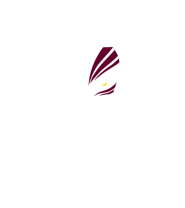 Ichigo Hollow Mask model negru pe tricou