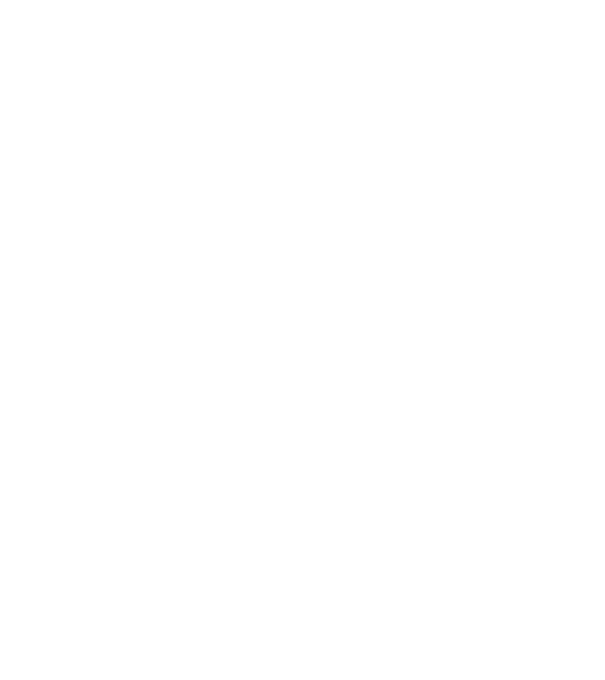 Alive since 1999 model negru pe tricou