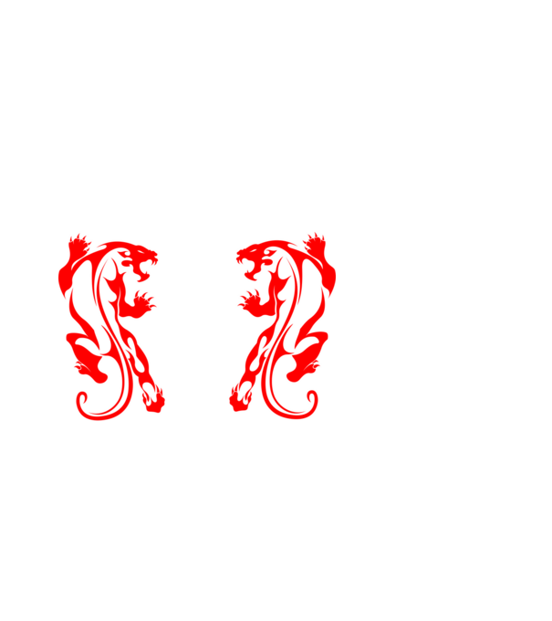 Aikido 2 model alb pe tricou