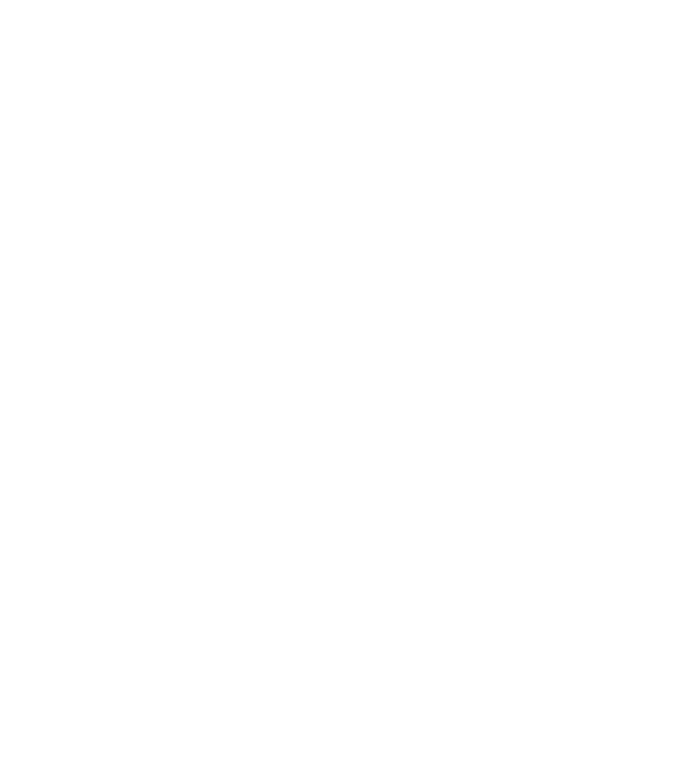 România made in model negru pe tricou