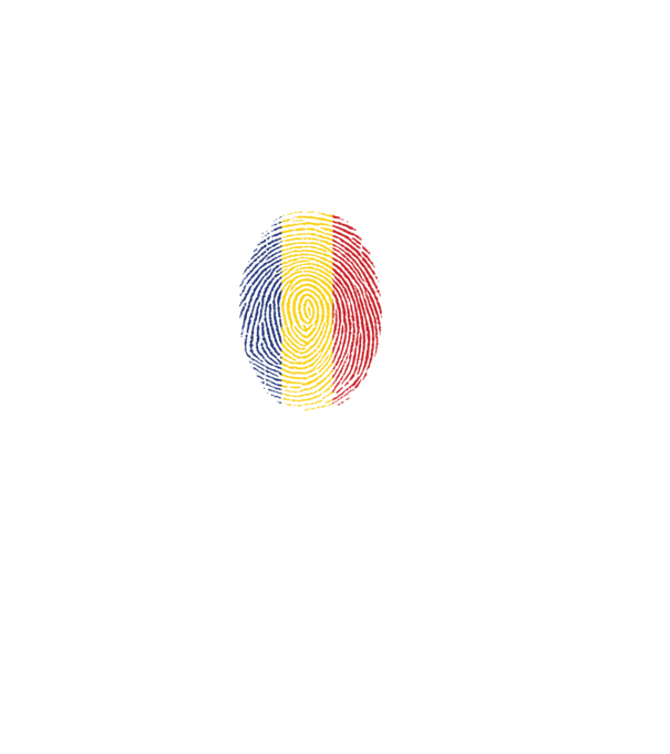 România fingerprint model gri pe tricou