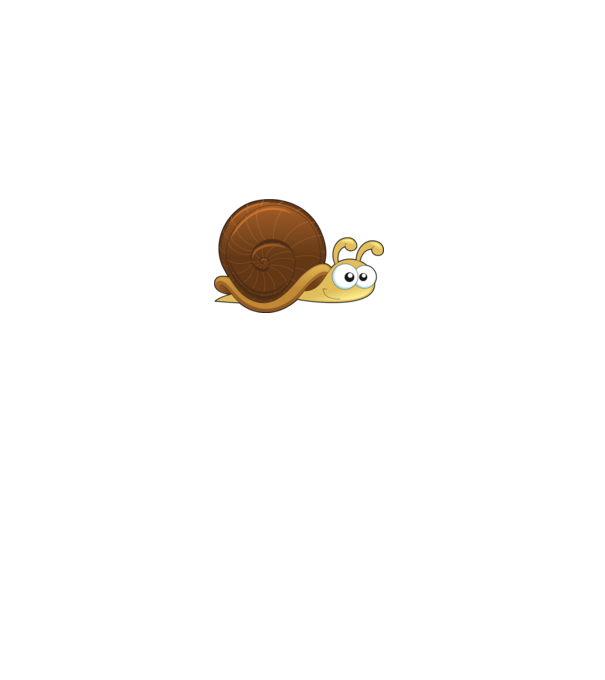 Snail model gri pe tricou