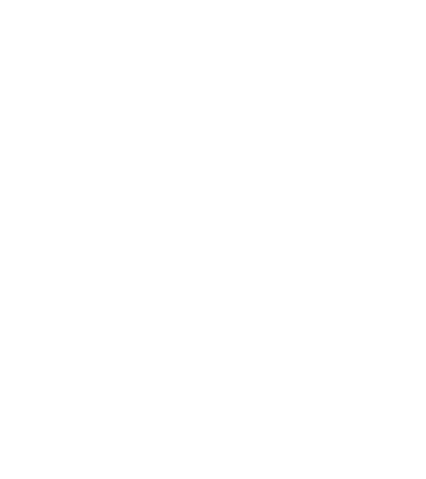 Așa arată un stăpân de Border Collie foarte chipeș model negru pe tricou