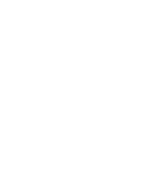 Crazy Cat Ladies are born in November model negru pe tricou