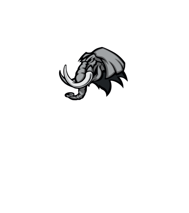 Elephant model gri pe tricou
