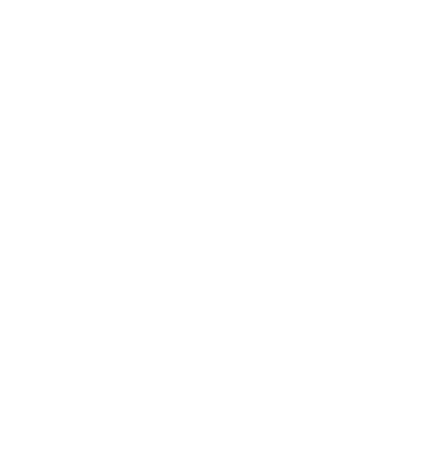 Camion 2. model albastru deschis pe tricou