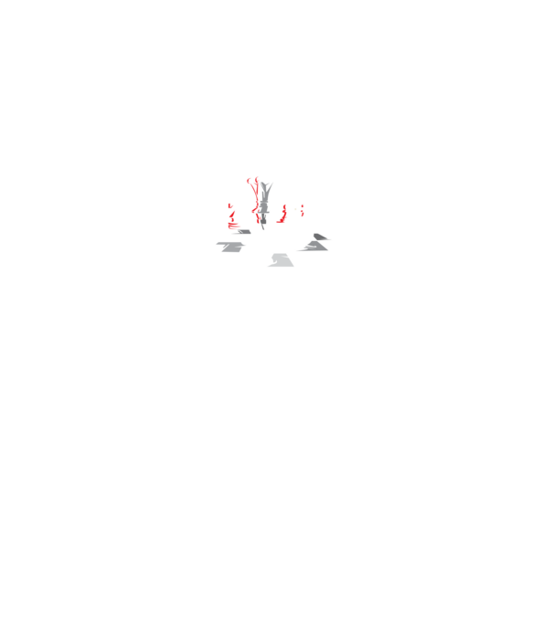 CHOOSE YOUR WEAPON model gri pe tricou