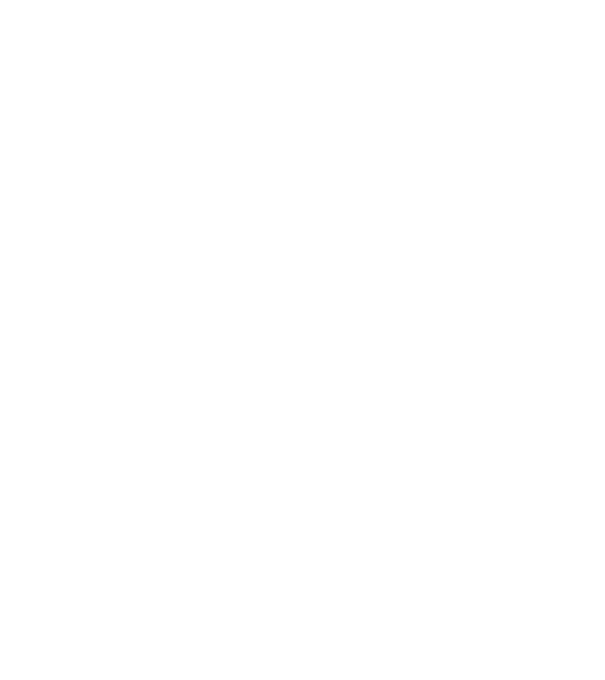 Zidarul model negru pe tricou