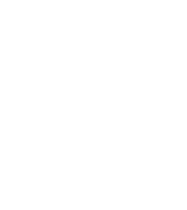 avion model alb pe tricou