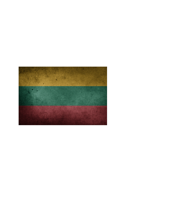LITHUANIA model alb pe tricou