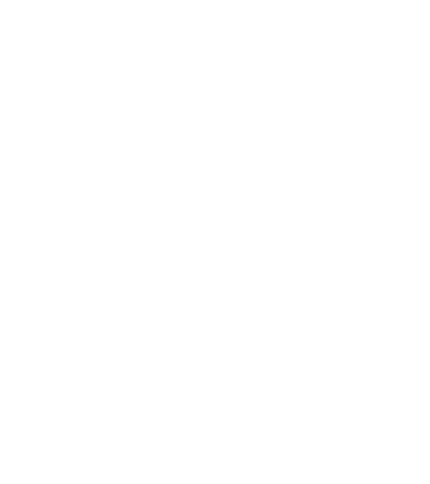 Mr 2 model negru pe tricou