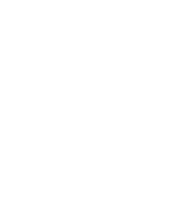 LOVE Staffordshire Terrier model negru pe tricou