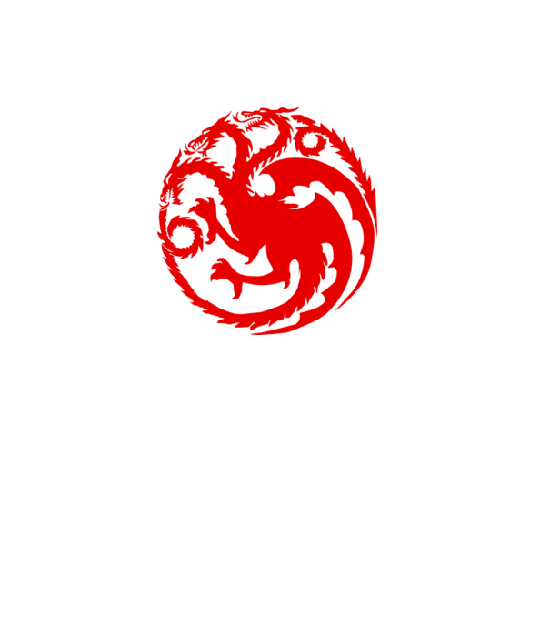 Targaryen model gri pe tricou