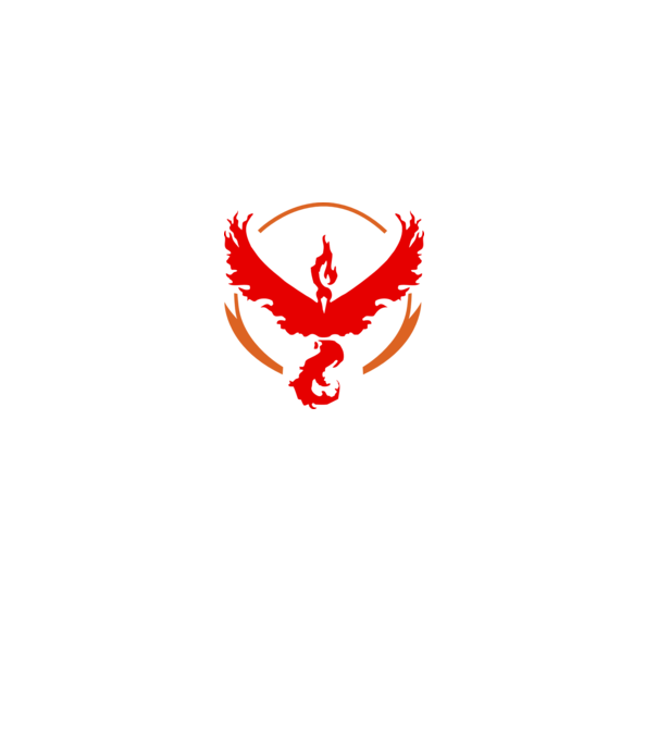 Valor team logo model gri pe tricou