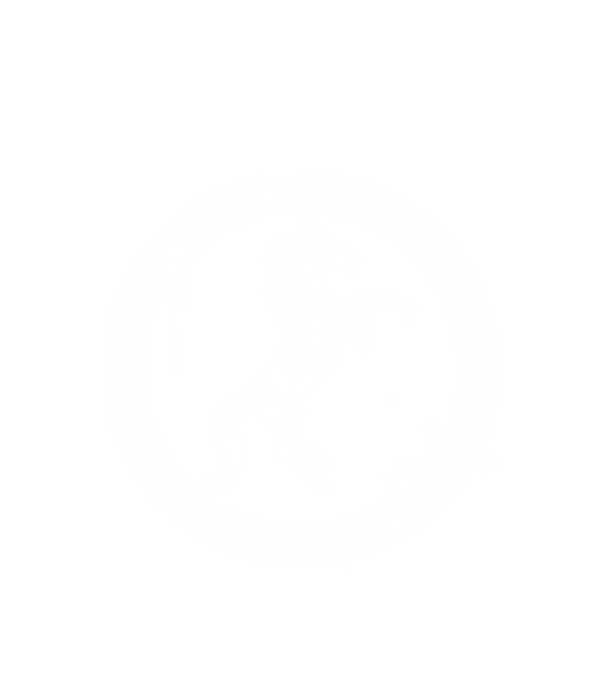 horse badge model alb pe tricou