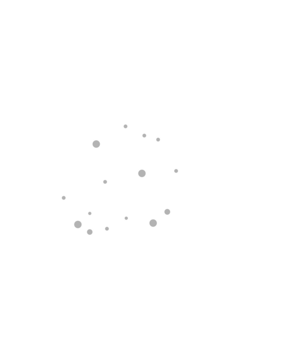 Brigada de băutură model alb pe tricou