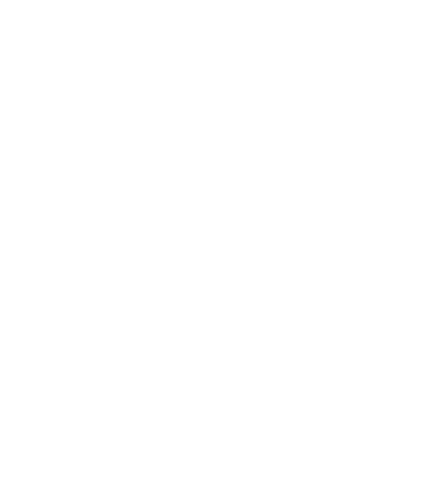 Așa arată un stăpân de Bolognese foarte chipeș model negru pe tricou