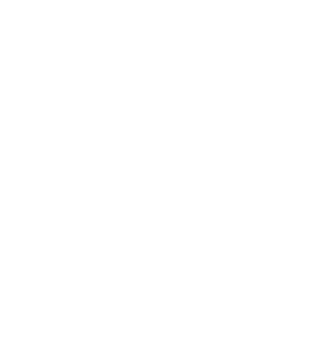 Zugravul model negru pe tricou