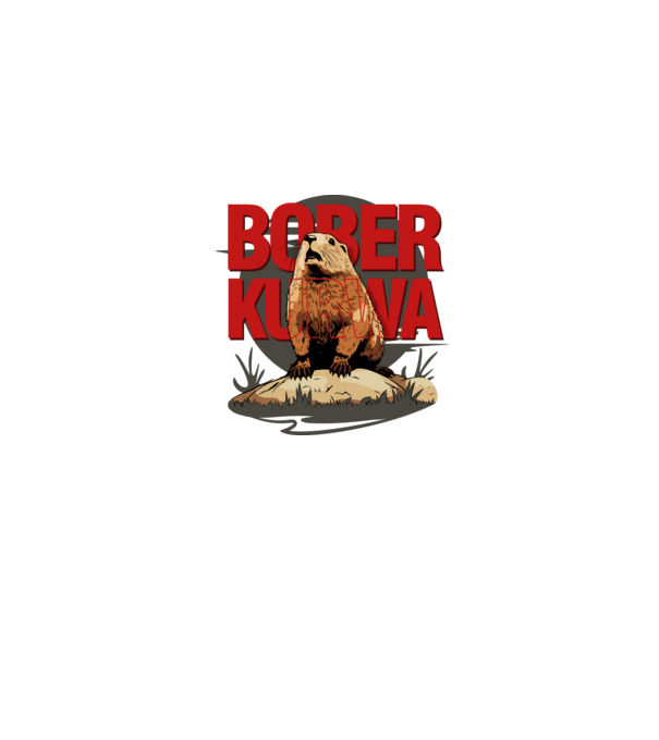 BOBER model albastru jeanși pe tricou