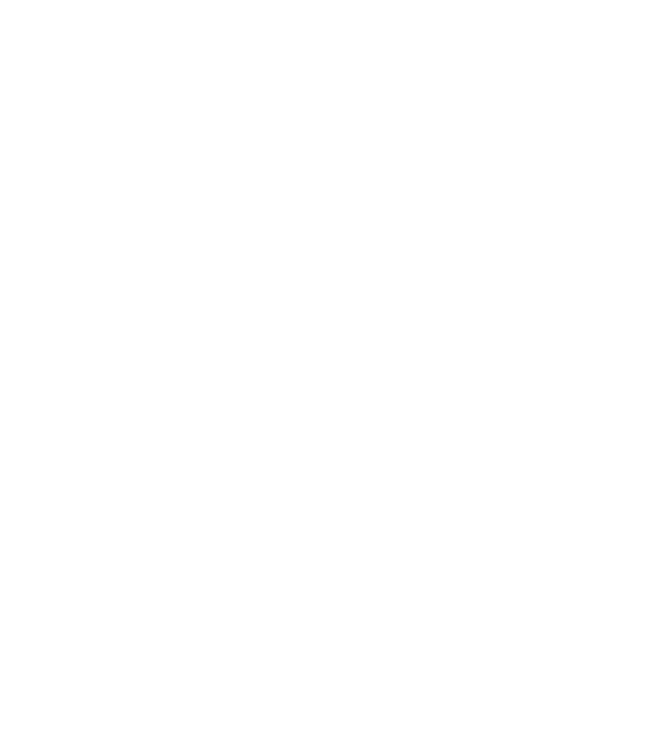 Camion 2. model gri pe tricou