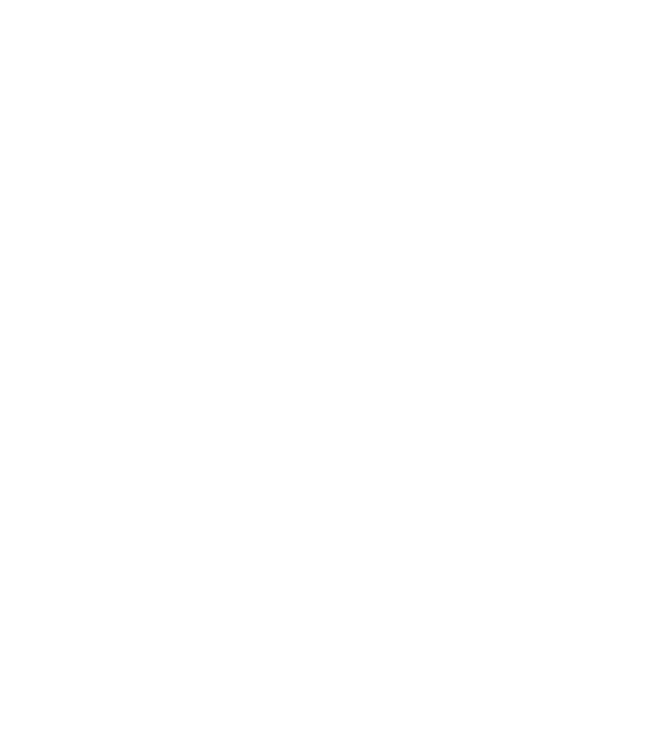 Alive since 1999 model negru pe tricou