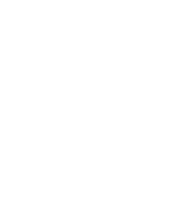 Crazy Cat Ladies are born in January model negru pe tricou