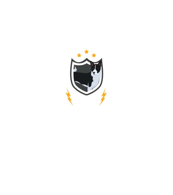 serviciu de securitate - securitate - persistență - 24 de ore pe zi model negru pe tricou