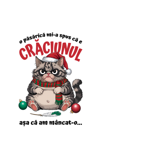 Am mâncat pasărea Crăciun pisică Alb model alb pe tricou