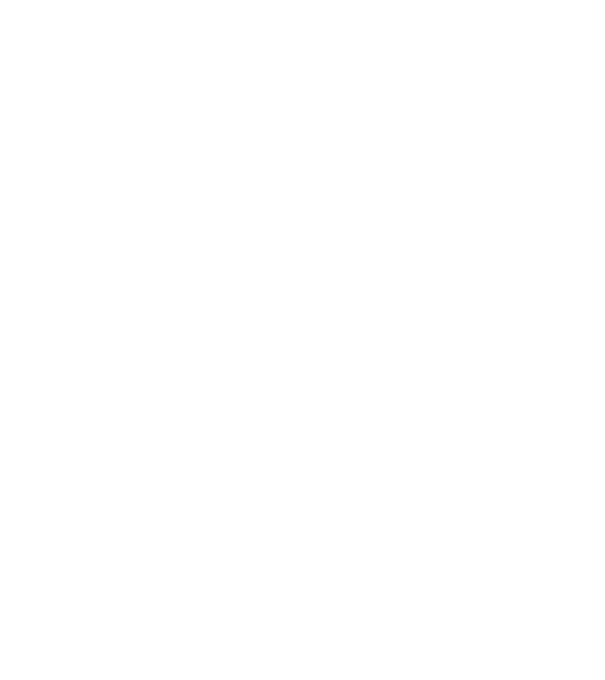 LOVE Havanese model negru pe tricou