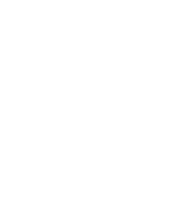 nu ai nicio idee despre munca în echipă dacă partenerul tău nu este un spirit liber de 500 de kilograme model negru pe tricou