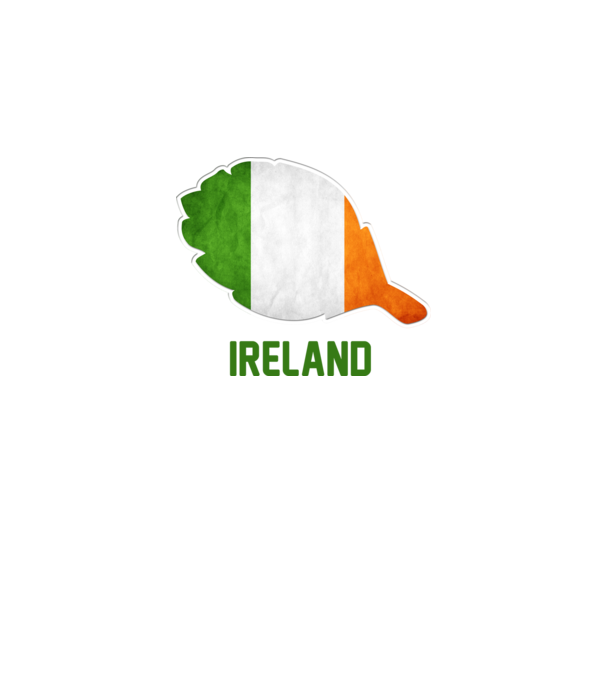 Steag irlandez model alb pe tricou