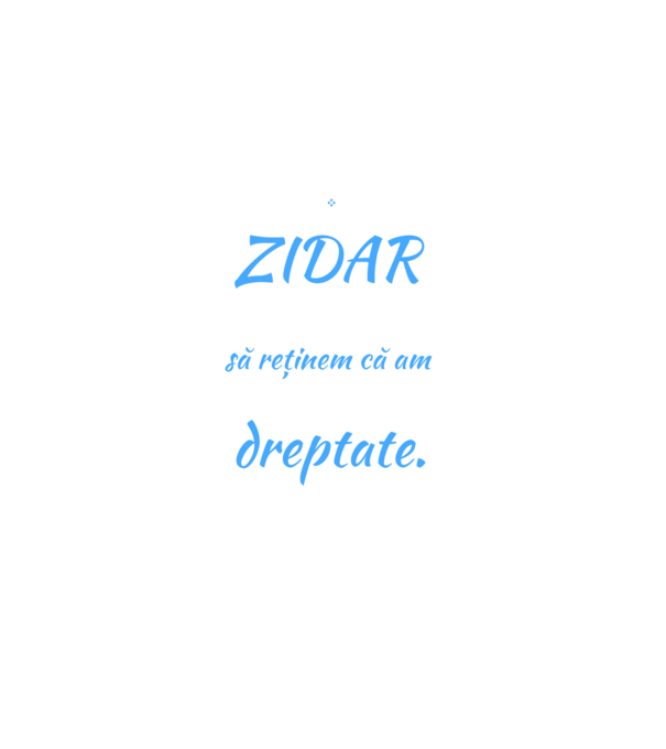 Sunt ZIDAR, pentru a economisi timp, să reținem că am întotdeauna dreptate model negru pe tricou