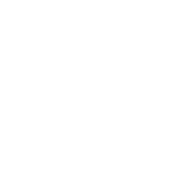 Așa arată un HOCHEIST foarte chipeș model negru pe tricou