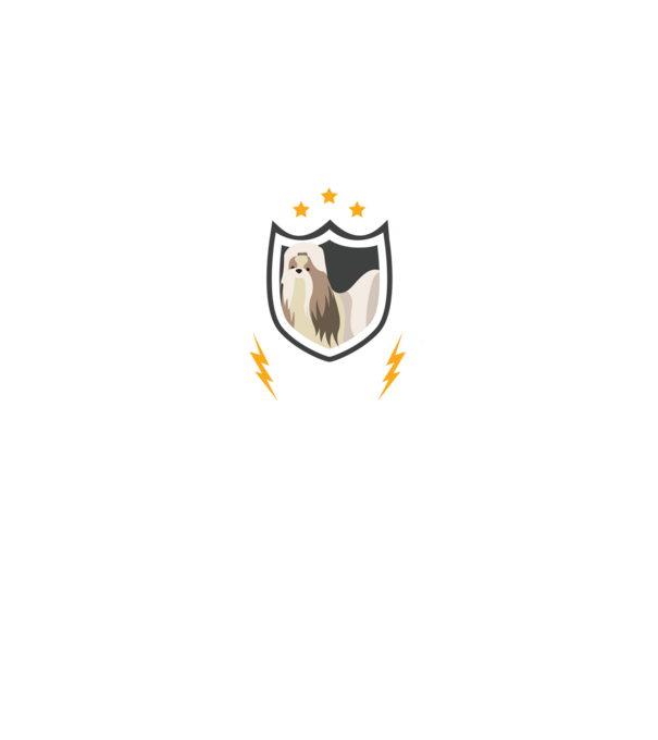 serviciu de securitate - securitate - persistență - 24 de ore pe zi model negru pe tricou