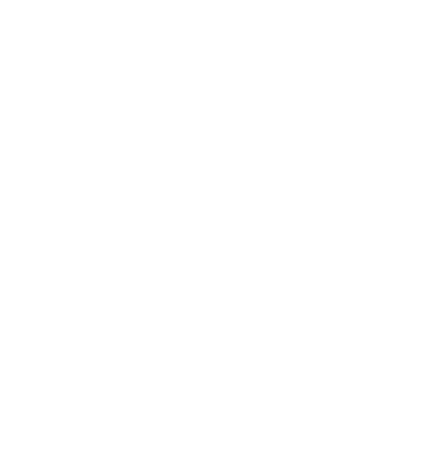 Crazy Cat Ladies are born in February model galben neon pe tricou