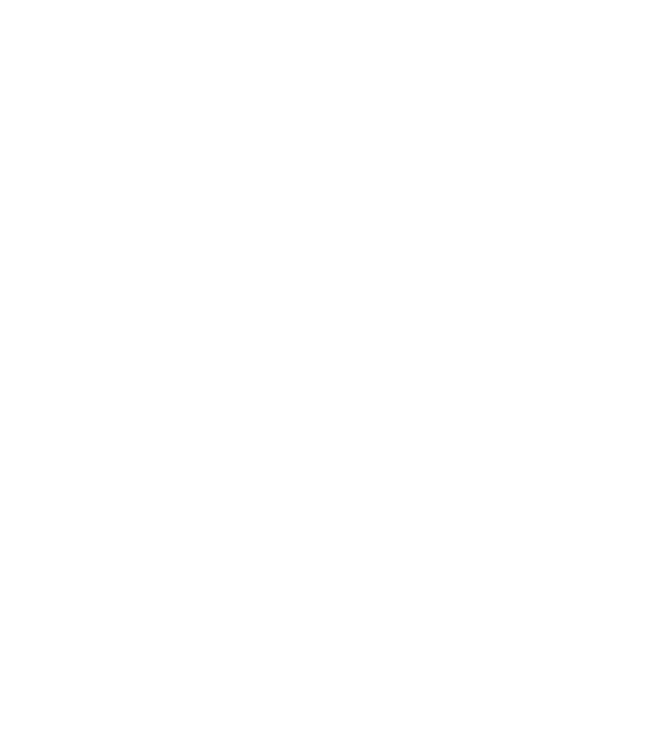 România made in model negru pe tricou