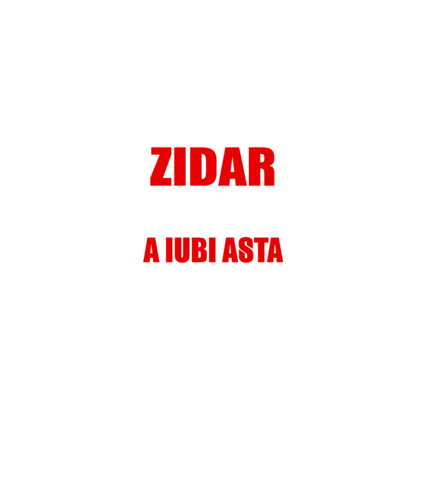 Sunt suficient de priceput pentru a fi ZIDAR și suficient de nebun pentru a iubi asta model negru pe tricou
