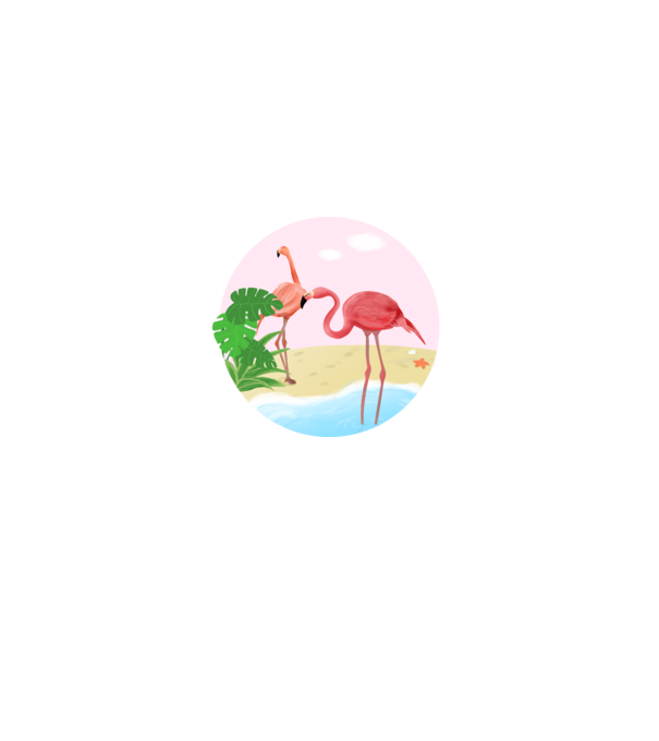 Flamingo model alb pe tricou
