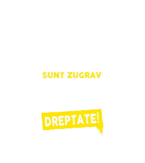 Sunt zugrav, pentru a economisi timp, să reținem că am întotdeauna dreptate! model negru pe tricou