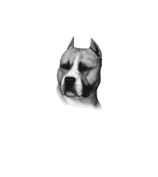 Staffordshire Terrier model alb pe tricou