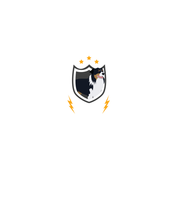 serviciu de securitate - securitate - persistență - 24 de ore pe zi model negru pe tricou