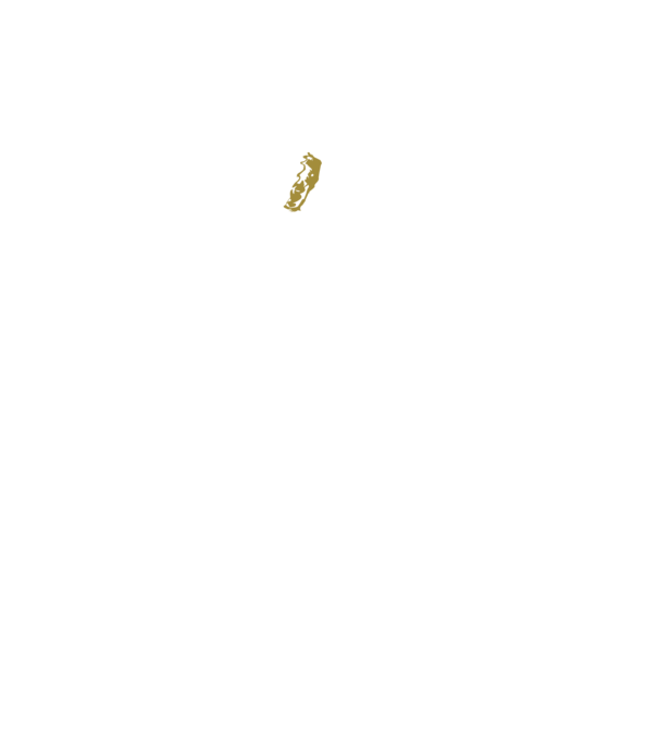 King in the north 2c model negru pe tricou