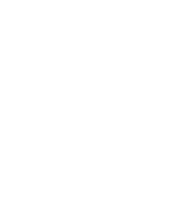 Crazy Cat Ladies are born in June model negru pe tricou