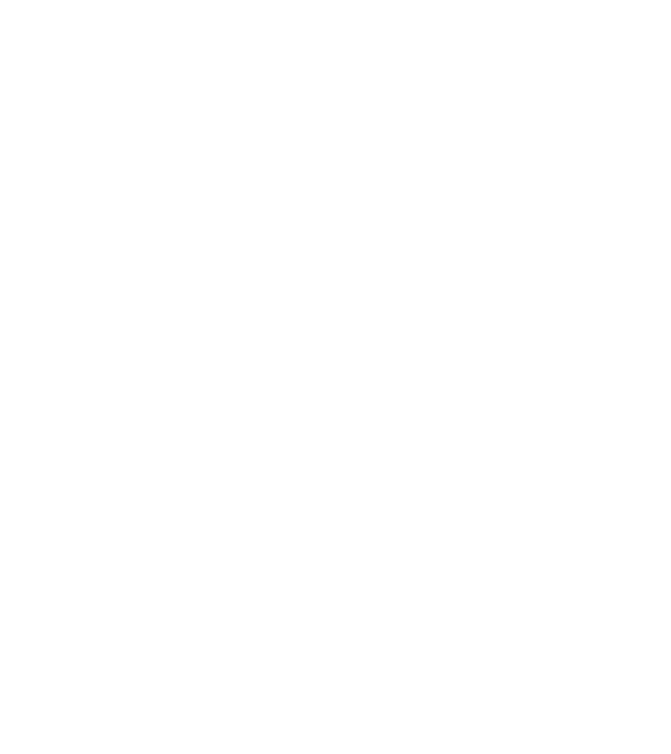 Cei mai buni au gemeni model negru pe tricou