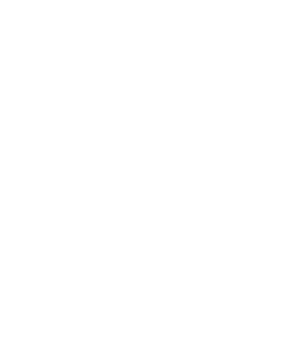 chitară evolution model negru pe tricou